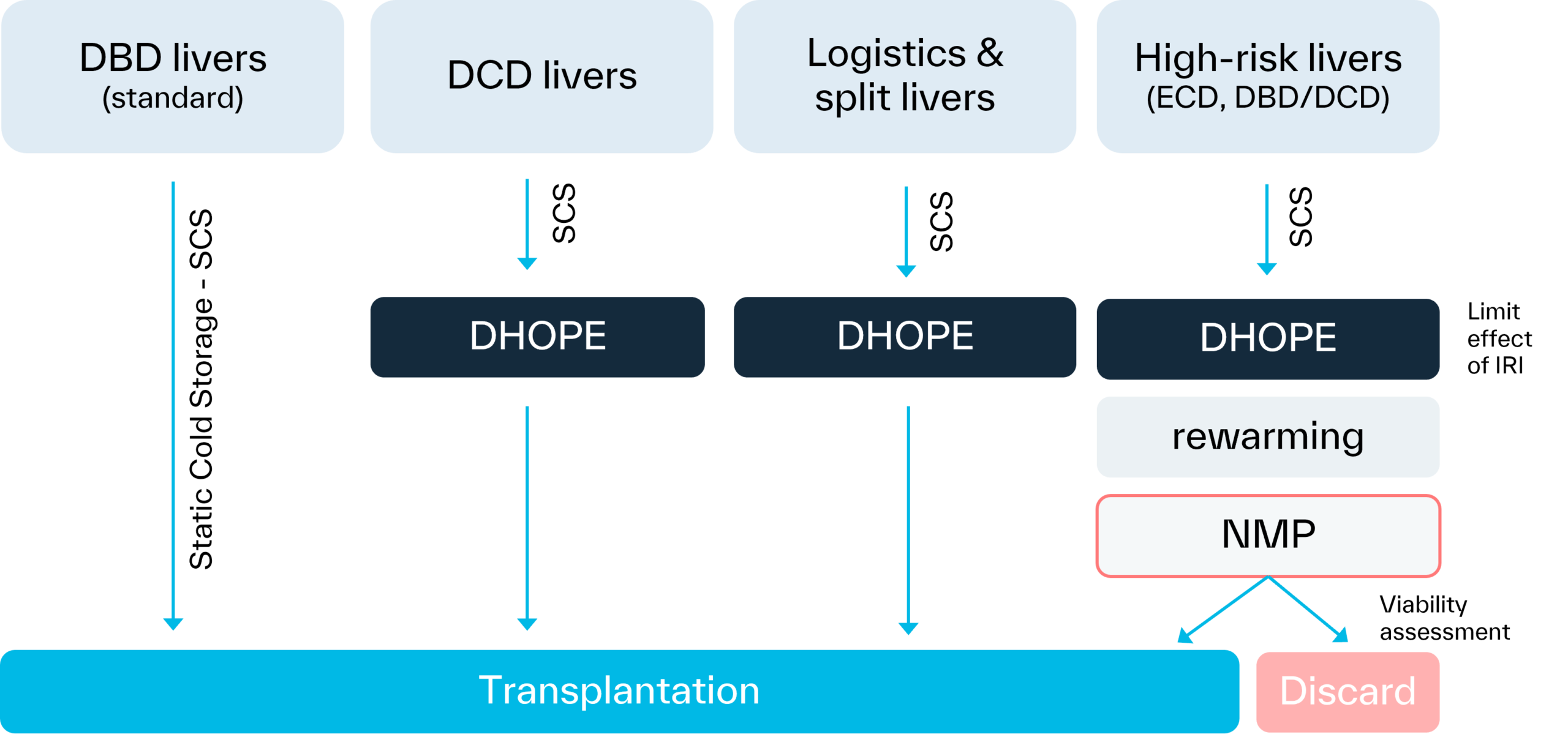 Scheme-for-Liver-protocol